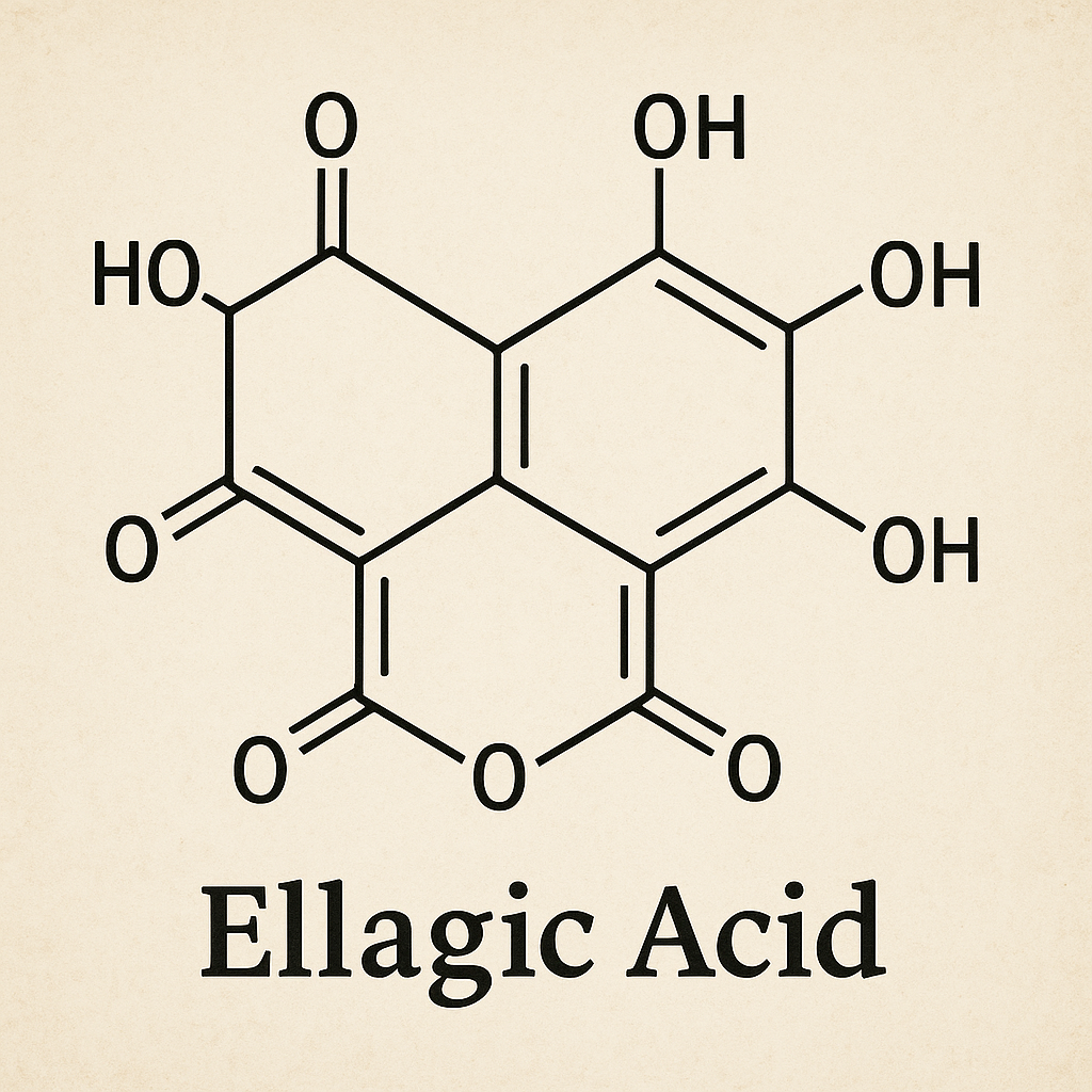 Ellagic Acid Image 1